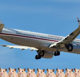 Die CS-TJR: Airbus A321 Neo mit Retro-Lackierung - und Hamstern.