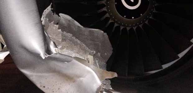 Beschädigtes Triebwerk: Der Büffel beschädigte den Jet.