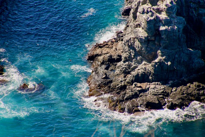 Am Punta Lobos fallen die Felsen steil ins Meer ab
