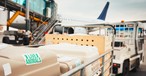 Tiertransportboxen auf dem Weg zum Flieger (Archivbild): Ein Hund büxte an Bord aus.