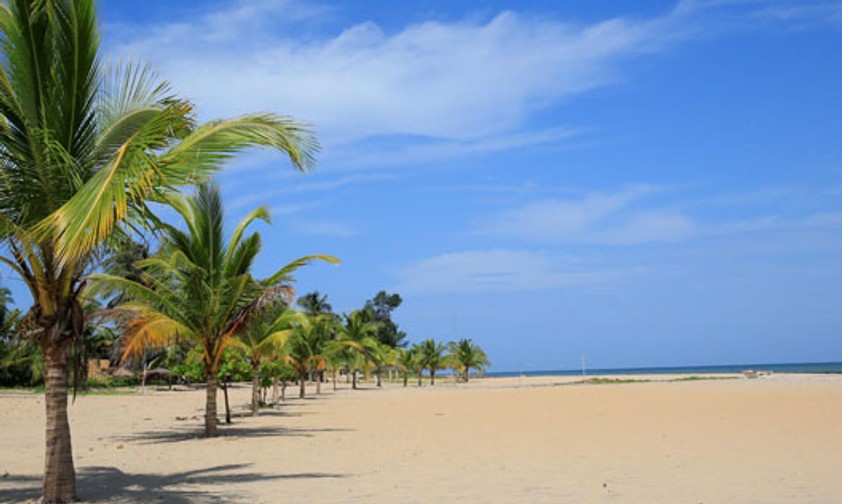 Wo auf der Welt landen Sie im Oktober?