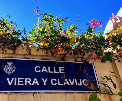 Starke Strecke Santa Cruz de Tenerife: Calle Viera y Clavijo.