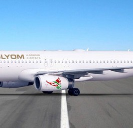Flieger in den Farben von Solyom Hungarian Airways: Fliegt sie doch noch regulär?