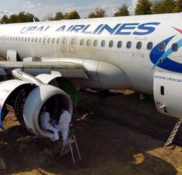Airbus A320 im Weizenfeld: Die Airline trug laut dem Piloten eine Mitschuld.