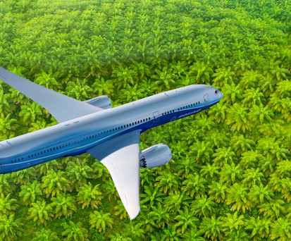 Boeing 787 über Plamölplantage (Montage): Indonesien macht Druck.