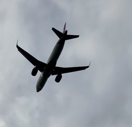 airbus a320 neo su buy air cairo