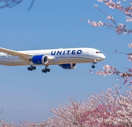 Ein Dreamliner von United: Die Airline will bis 2030 die gesamte Boeing 767-Flotte durch Dreamliner ersetzen.
