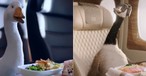 Dave und Gerry: Besser Air New Zealand oder Emirates?