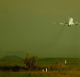 Boeing B 737-300 von Webjet: Bald neue Strategie?