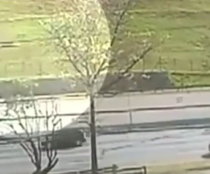 Sicherheitskameras filmten den Unfall.