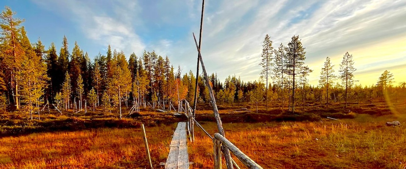 Jauhojaervi See im Herbst mit Cranberrys