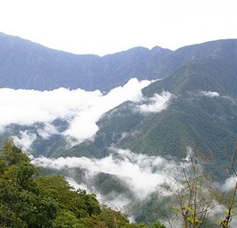 Los Yungas in Bolivien: Ecojet soll die wichtigsten Ziele des Landes anfliegen.
