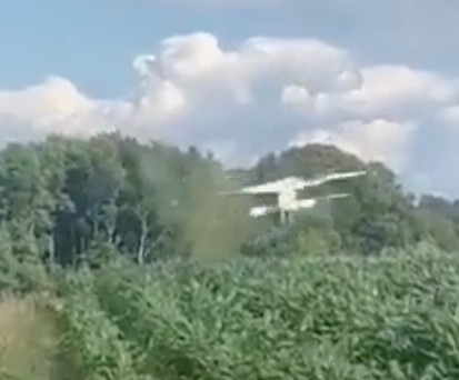 Der Moment des Unfalls: Die Antonov An-2 flog in die Bäume.