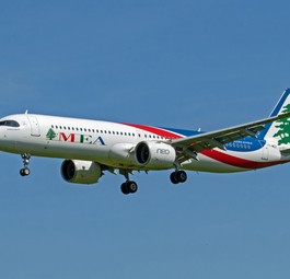 Ein Falke neben einem Flugzeug, hier von MEA: Nicht immer gehen solche Begegnungen gut aus.