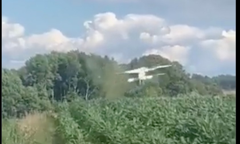 Der Moment des Unfalls: Die Antonov An-2 flog in die Bäume.