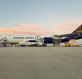Die Boeing 747-8 F von Atlas Air in Stuttgart: Künftig fliegt sie nach Frankfurt.