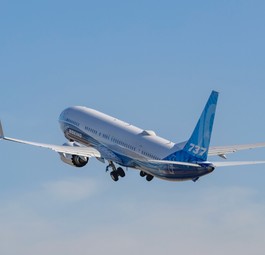 Boeing 737 Max: Auch bestehende Modelle sind betroffen.