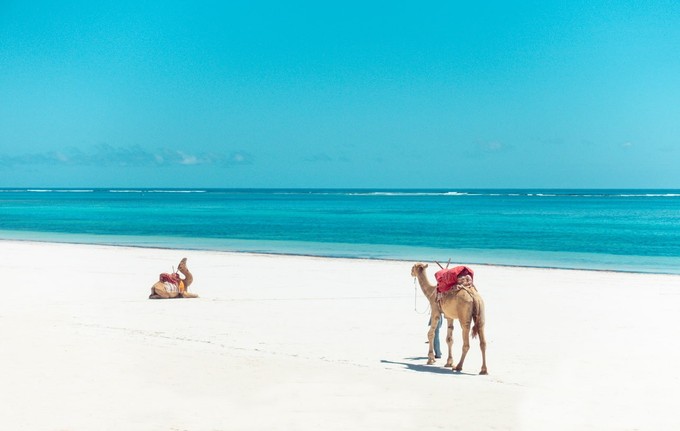 Weißer Sand und türkisblaues Wasser an der Diani Beach