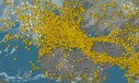 Flugverkehr am 22. Juni: Chaos über der Nahost-Region.