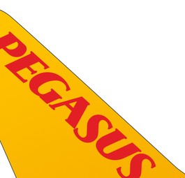ticker-pegasus