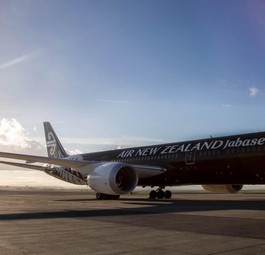 Dreamliner von Air New Zealand: Solche Flieger sind auf der Route unterwegs.