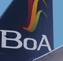 Leitwerk mit Logo von Boliviana: Bayern im Visier.