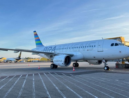 Airbus A319 von Braathens: Die Fluglinie muss aufgeben.
