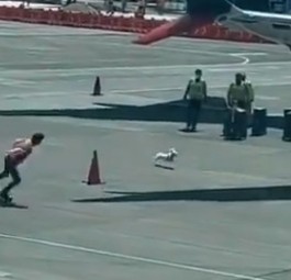 Verfolgungsjagd am Flughafen