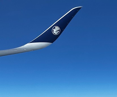 New Yorker Lotse pöbelt Pilotin von Air France an
