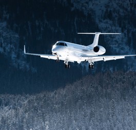 Air Hamburg besitzt eine Flotte von 44 Businessjets: Embraer Lineage 1000E, Dassault Falcon 7X, Embraer Legacy 600/650/650E, Legacy 500, Embraer Praetor 600, Cessna Citation XLS+, Embraer Phenom 300/300E und Cessna Citation CJ3.