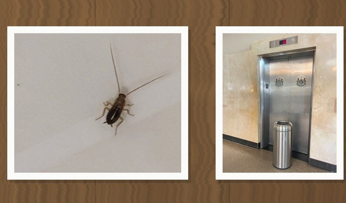 Ungeziefer und kaputter Lift.