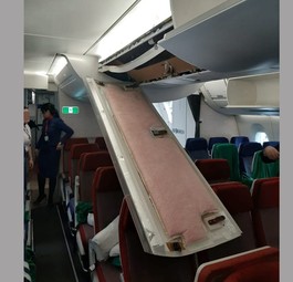 Die gefallene Verkleidung.