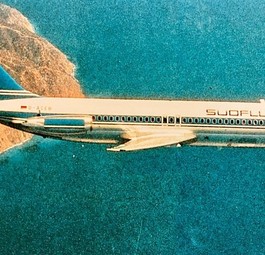 Südflug