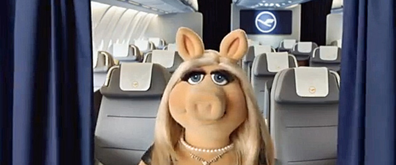 Miss Piggy: Großer Auftritt an Bord.