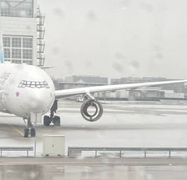 Einer von vier gestrandeten A330 in München: Die Maschinen gehören nicht mehr Lufthansa.