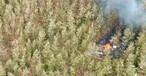 Die Absturzstelle in Costa Rica: Das Wrack ist ausgebrannt.