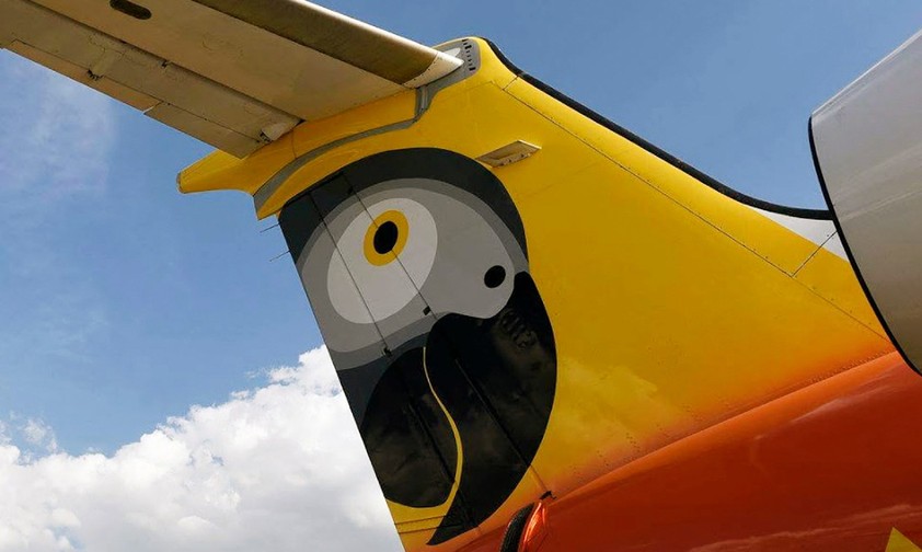 Heck eines Fastjet-Fliegers: Papagei als Logo.