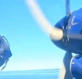 Vogel oder Rucksack - was beschädigte das Flugzeug nach dem Start?