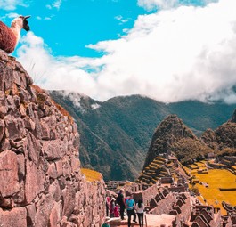 Ruinen an der Bergspitze des Huayna Picchu: Der geplante Flughafen gefährdet Machu Picchu.