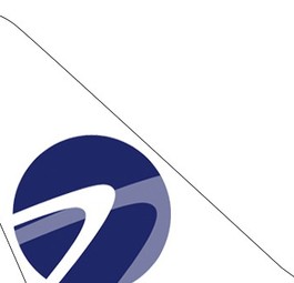 ticker-avia-solutions-group-n