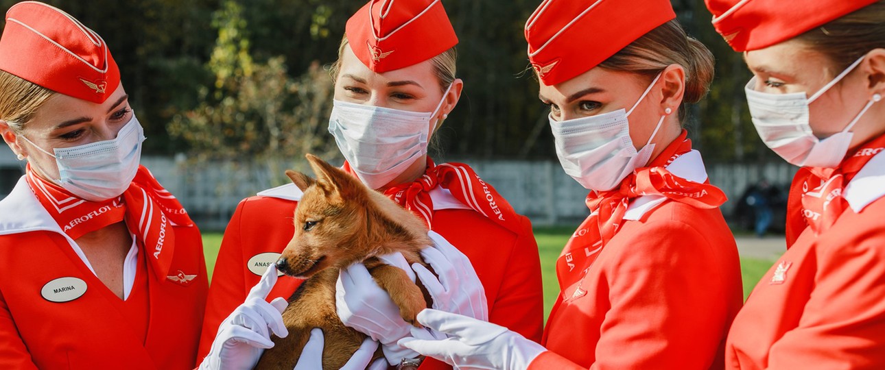 Flugbegleiterinnen von Aeroflot: So freundlich wie mit dem Hund gehen die Angestellten mit Maskenverweigerern nicht um.