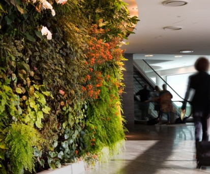 Passagierin: Wer bei Qantas etwas für die Umwelt tut, erhält etwas zurück.