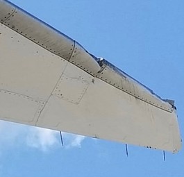 Flügelspitze der Boeing 787 von Air Canada: Nur leichte Kollisionsspuren.