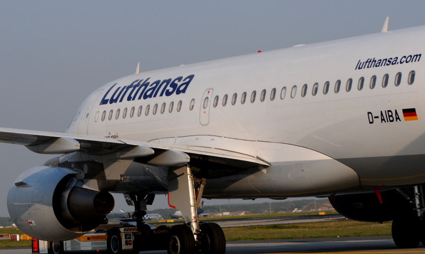 D-AIBA: Dieser Airbus A319 von Lufthansa musste nach dem Vogelschlag ausweichen.