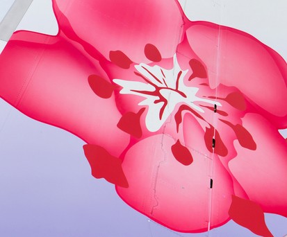 Leitwerk A350 von China Airlines: Die FLugline modernisiert und baut aus.