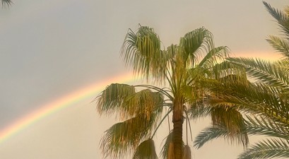 Palmen sehen: Urlaub zu machen, wird immer teurer. 