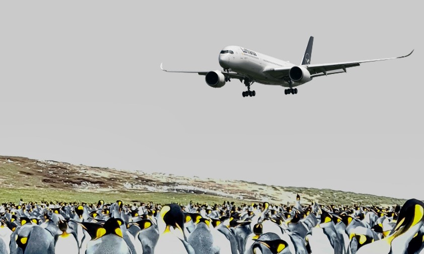 Airbus A350 von Lufthansa, Pinguine auf Falkland (Montage): Tiere sieht die Lufthansa-Crew höchstens bei der Landung.