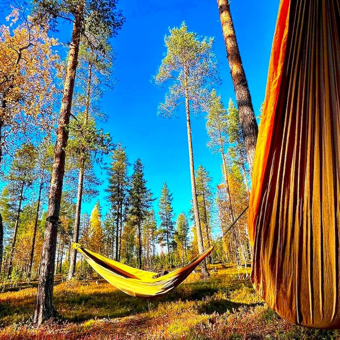 Hali Puu-Forest Arctic Cocoonig