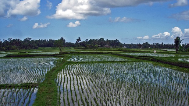 9. Rang: Indonesien, 53,7 Millionen Passagiere 2011, Wachstum 11 Prozent - Resifeld.