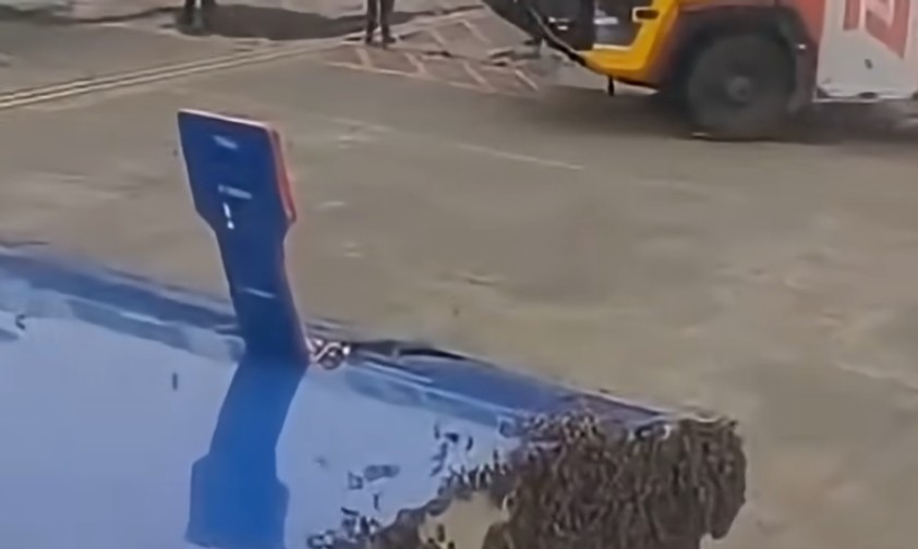 Bienenschwarm an der Frachttür: Der Flug konnte am 7. Juli erst eine Stunde später starten.